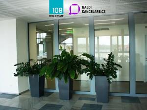 Pronájem kanceláře, Ostrava, Gregorova, 1171 m2