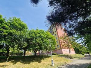 Pronájem bytu 1+kk, Brno, Okrouhlá, 28 m2