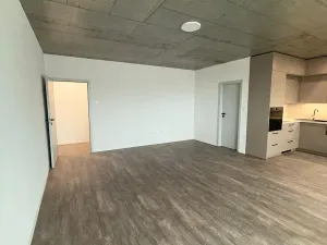 Pronájem bytu 1+kk, České Budějovice, Štítného, 44 m2
