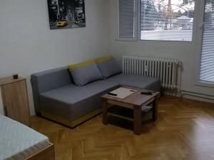 Pronájem bytu 1+1, Brno, Brožíkova, 38 m2