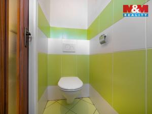 Prodej rodinného domu, Němčice - Člupek, 198 m2