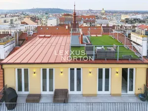 Prodej bytu 3+kk, Praha - Vinohrady, Italská, 110 m2