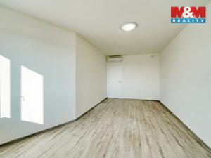 Pronájem bytu 3+kk, Plzeň - Východní Předměstí, Železniční, 96 m2