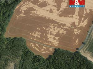 Prodej pole, Svatý Mikuláš, 11560 m2