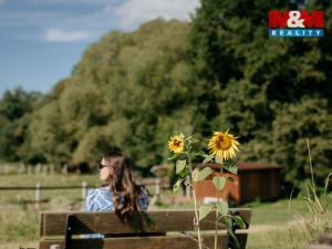 Prodej komerčního pozemku, Sušice - Divišov, 4292 m2