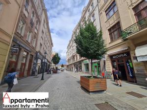 Pronájem bytu 2+kk, Plzeň, Bedřicha Smetany, 64 m2