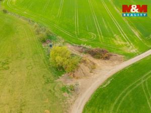 Prodej louky, Olešnice, 730 m2