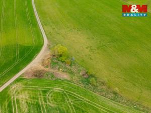 Prodej louky, Olešnice, 730 m2