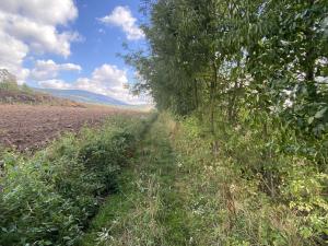 Prodej pozemku, Lánov - Horní Lánov, 4009 m2