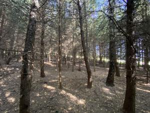 Prodej lesa, Lánov - Horní Lánov, 11269 m2