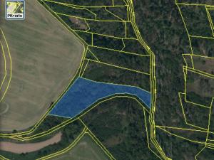 Prodej lesa, Slavičky - Pozďátky, 6551 m2