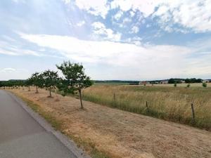 Prodej zahrady, Maršov, 31902 m2