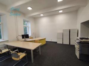 Pronájem kanceláře, Brno, Srbská, 45 m2