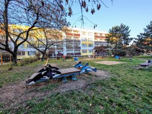 Pronájem bytu 1+1, Mladá Boleslav, U stadionu, 45 m2