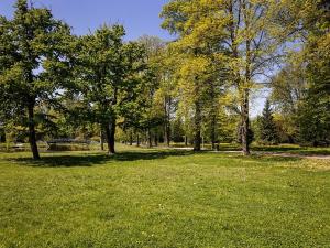 Prodej kanceláře, Hradec Králové, Pospíšilova, 95 m2