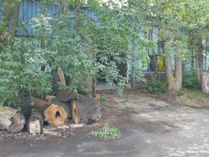 Prodej komerčního pozemku, Tišnov, Červený Mlýn, 6493 m2