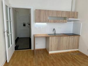 Pronájem bytu 1+kk, Praha - Nusle, V Horkách, 32 m2