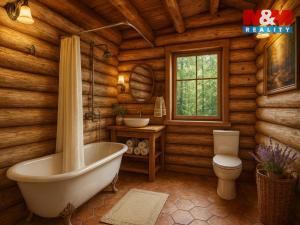 Prodej pozemku pro bydlení, Rudná pod Pradědem - Stará Rudná, 14105 m2