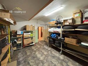 Prodej rodinného domu, Krupka, Alešova, 226 m2