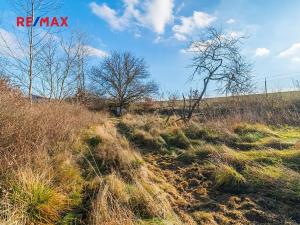 Prodej chaty, Plzeň, 35 m2