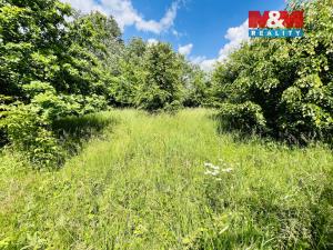 Prodej pozemku, Veselí nad Moravou, 1026 m2