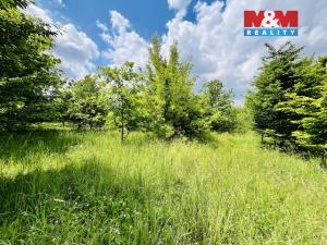 Prodej pozemku, Veselí nad Moravou, 1026 m2