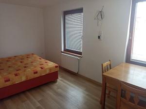 Pronájem bytu 1+kk, Uherský Brod, Bož. Němcové, 18 m2