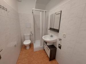 Pronájem bytu 1+kk, Brno, Renneská třída, 30 m2