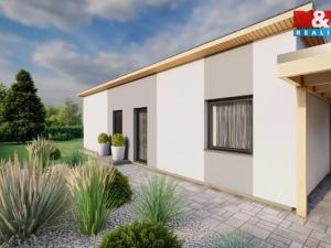 Prodej rodinného domu, Plasy - Nebřeziny, 40 m2