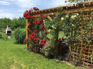 Prodej zahrady, České Budějovice, 893 m2