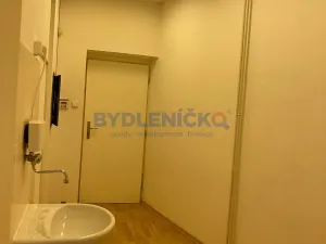 Pronájem komerční nemovitosti, České Budějovice, Hradební, 35 m2