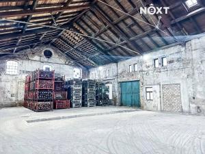 Pronájem výrobních prostor, Dětřichov, 6890 m2