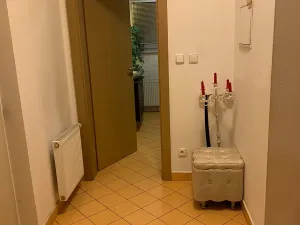 Pronájem bytu 1+kk, Praha - Libeň, Českomoravská, 50 m2