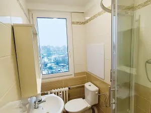 Pronájem bytu 1+1, Liberec, Matoušova, 32 m2