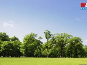 Prodej louky, Osová Bítýška, 1807 m2