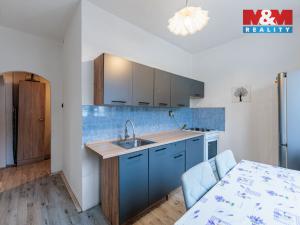 Prodej bytu 1+1, Habartov, Raisova, 41 m2