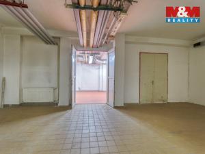 Pronájem skladu, Plzeň, Sousedská, 47 m2