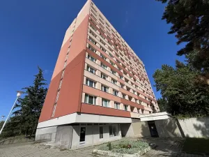 Pronájem bytu 1+kk, Brno, Halasovo náměstí, 21 m2