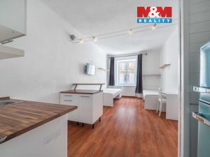 Pronájem bytu 1+kk, Plzeň, Vrchlického, 27 m2