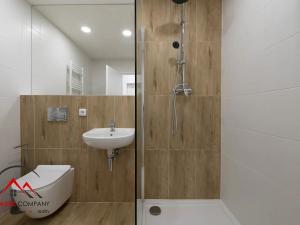 Pronájem bytu 1+kk, Ostrava, Cihelní, 17 m2