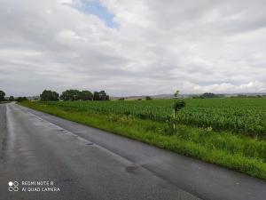 Prodej komerčního pozemku, Dolní Roveň, 13103 m2