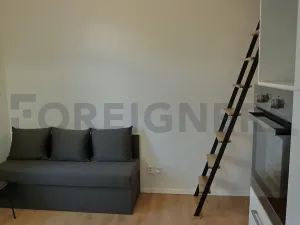 Pronájem bytu 2+kk, Praha - Žižkov, Ježkova, 37 m2