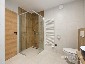 Prodej bytu 3+kk, Horní Planá, 51 m2