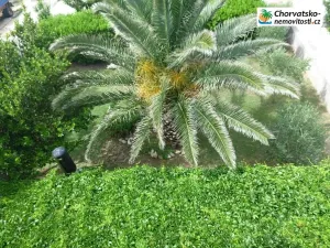 Prodej vily, Povljana, Chorvatsko, 318 m2