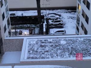 Pronájem bytu 1+kk, Brno, Bratislavská, 32 m2