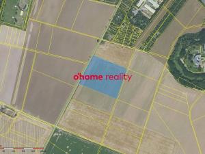 Prodej pole, Křelov-Břuchotín, 31871 m2