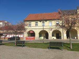 Pronájem obchodního prostoru, Benátky nad Jizerou, Husovo náměstí, 30 m2