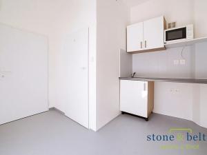 Pronájem bytu 1+kk, Praha - Smíchov, Holečkova, 25 m2