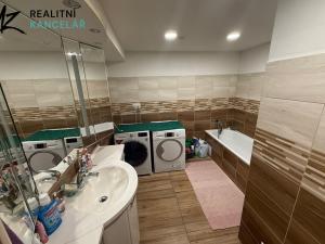 Pronájem rodinného domu, Zborovice, Lesní, 345 m2