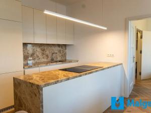 Prodej bytu 2+1, Praha - Vinohrady, náměstí Jiřího z Lobkovic, 72 m2